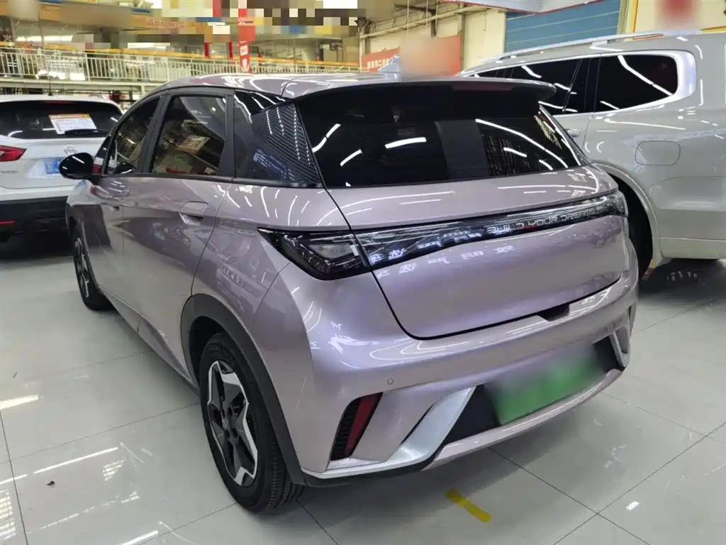 BYD Dolphin 2021 Model 405km Fashion Edition фото 23
