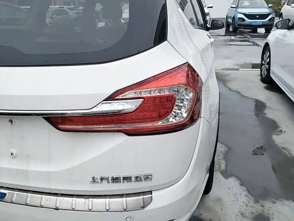 Baojun 310W 2019 2017 1.5L Manual Luxury China V