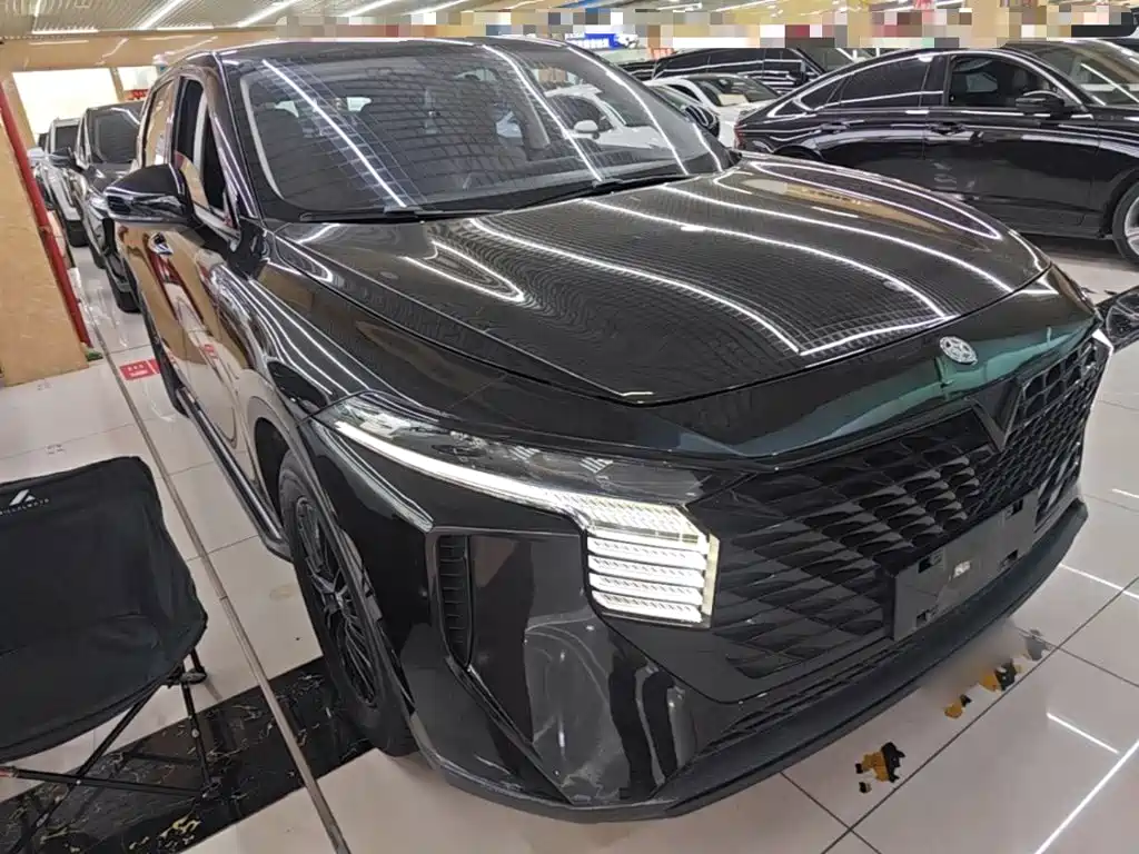 2023 Venucia Big V
