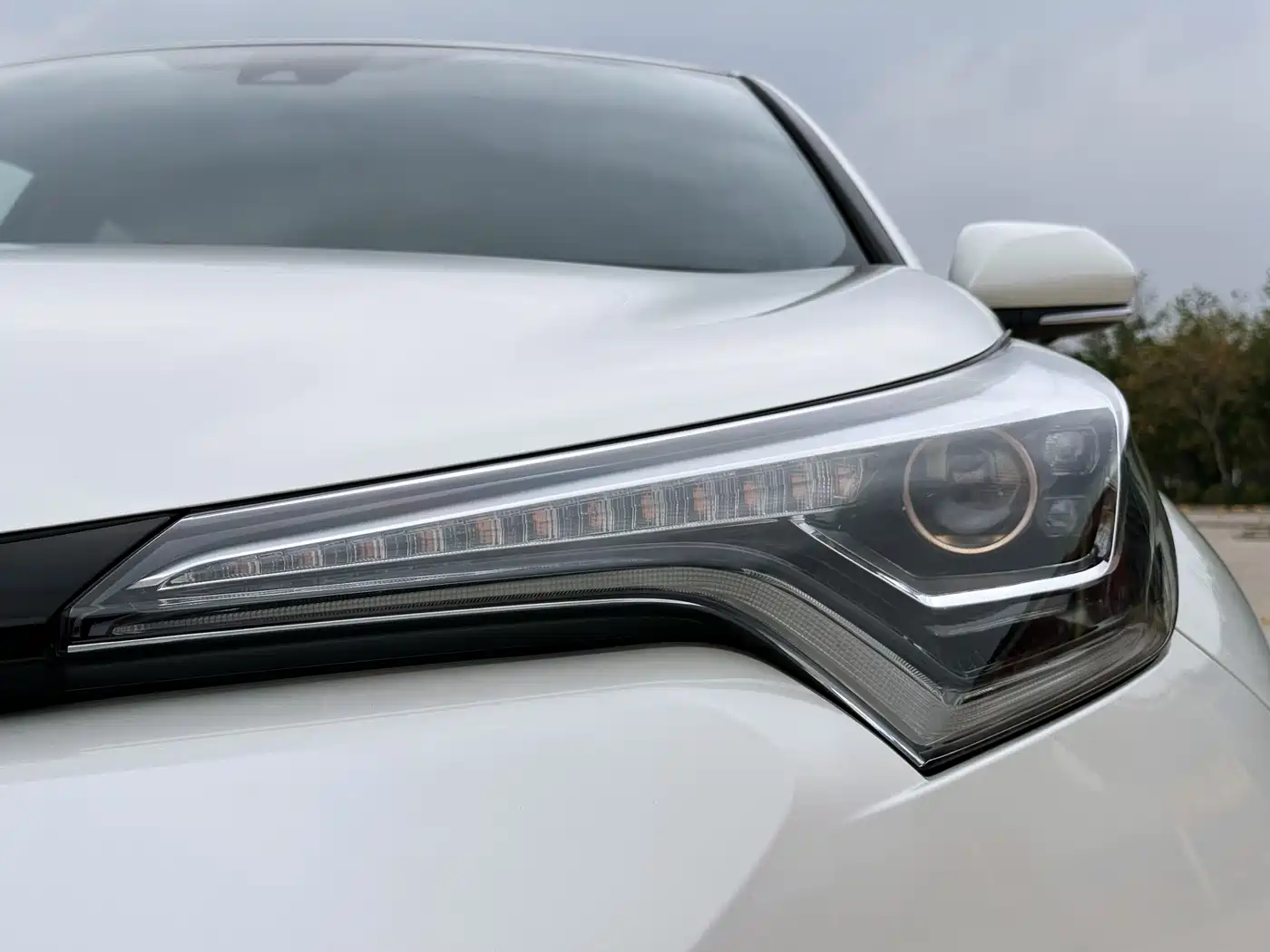 Toyota C-HR 2018 2.0L Luxury Edition China V фото 18
