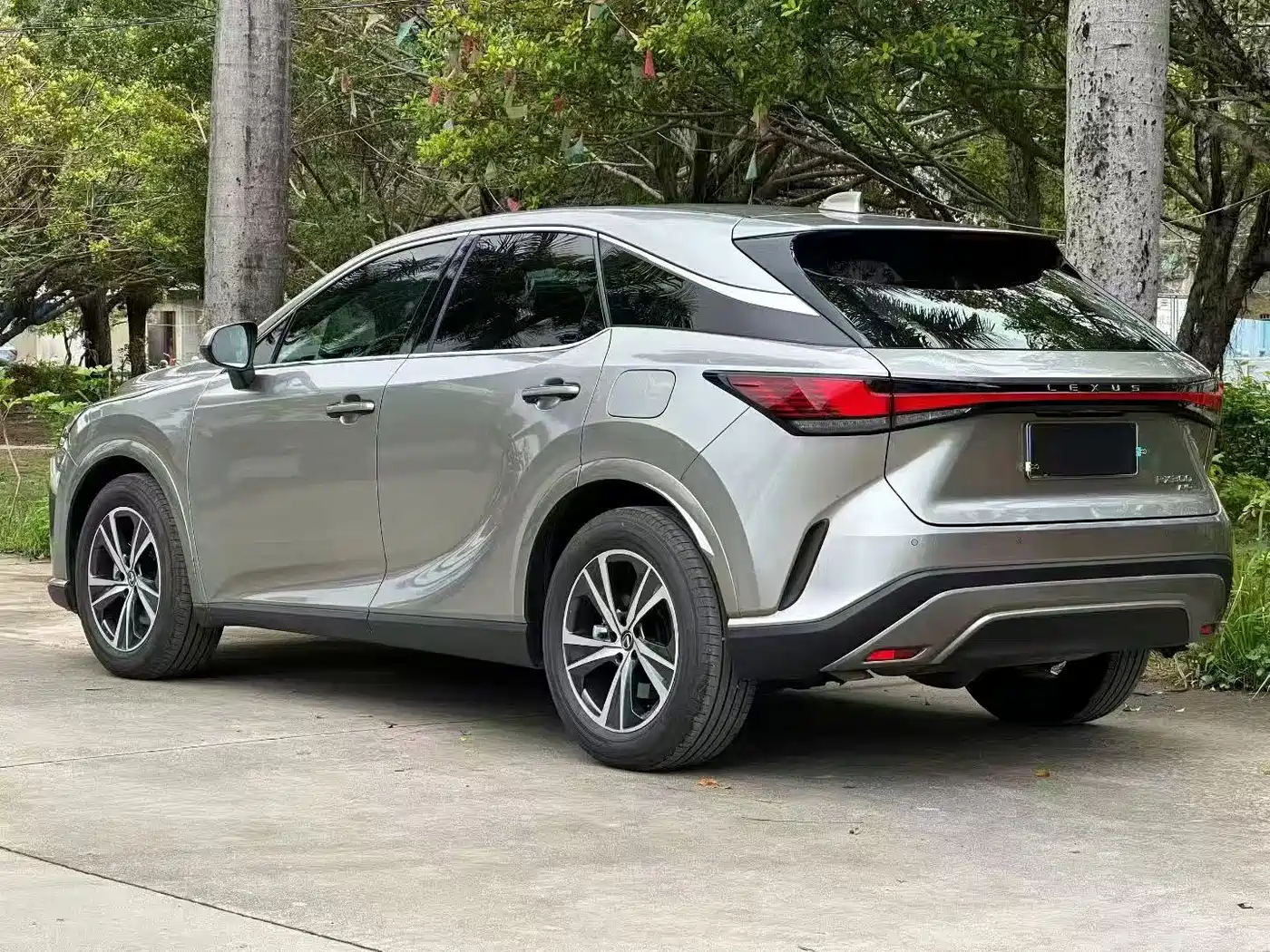 Lexus RX 2025 2025 300 4WD Premium Edition