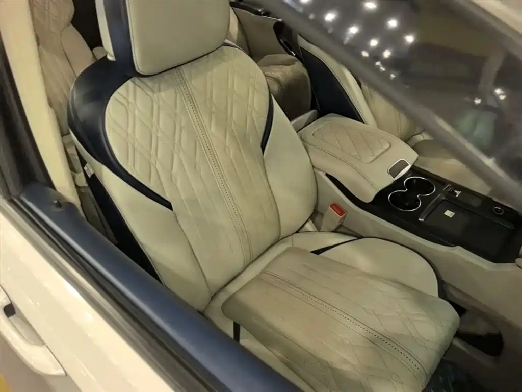 Buick GL8 2021 ES Landlord 653T Comfort фото 25