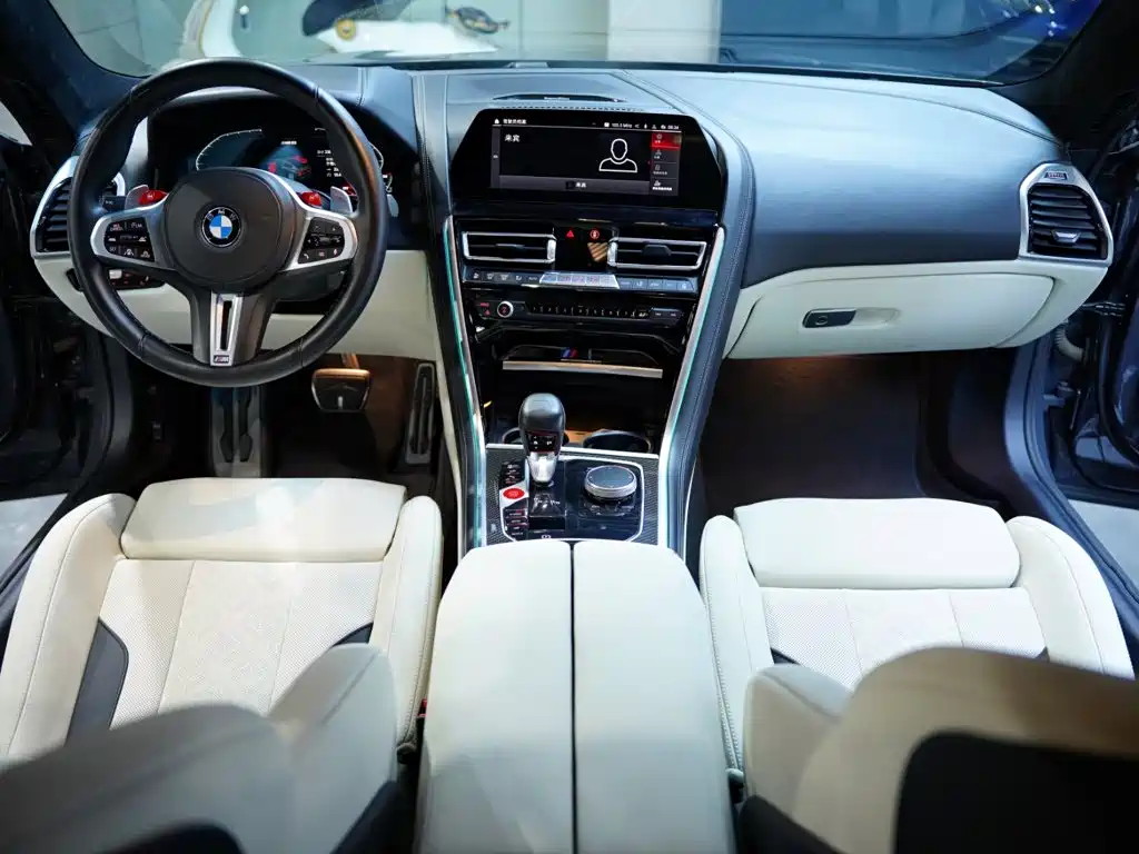 Фото 46 - BMW M8