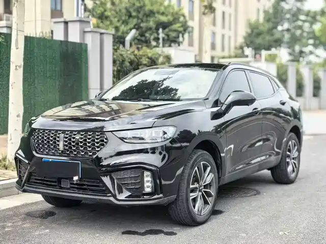  WEY Wey VV5 2021 1.5T 2WD Smart Pioneer