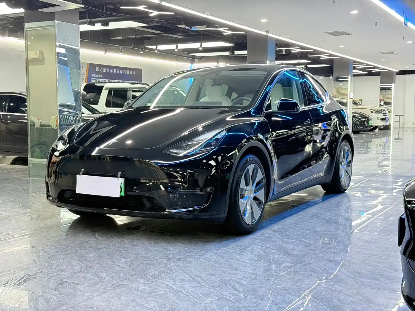 Tesla Model Y 2021 Standard Range Rear-Wheel Drive