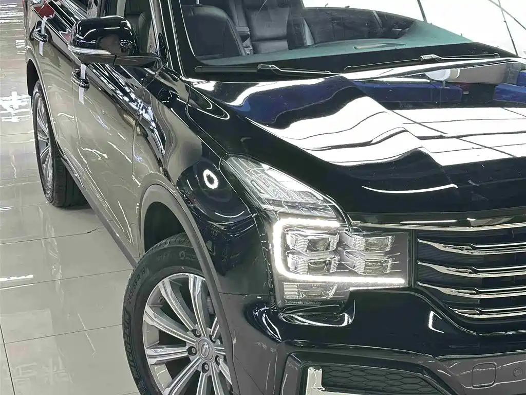 GAC Trumpchi Trumpchi GS8 2020 390T 2WD Luxury Smart Connect Anniversary Edition (7-Seater) фото 6
