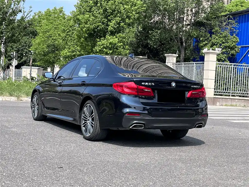 BMW 5 Series 2019 530Li Premium M Sport Package фото 13