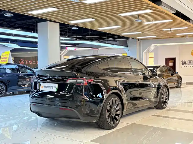 Tesla Model Y 2022 Performance High-Performance All-Wheel Drive Version — фото 5