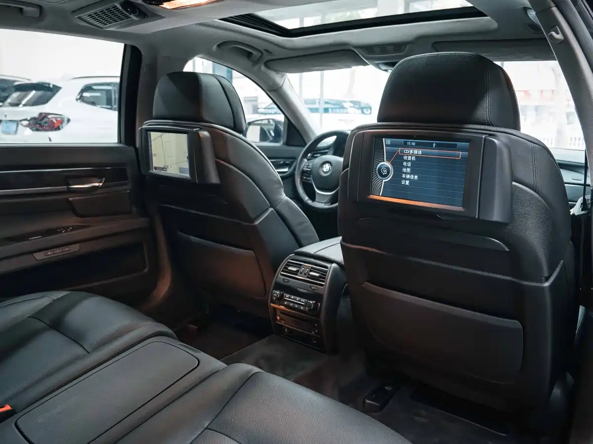 BMW 7 Series 2009 750Li Premium фото 20