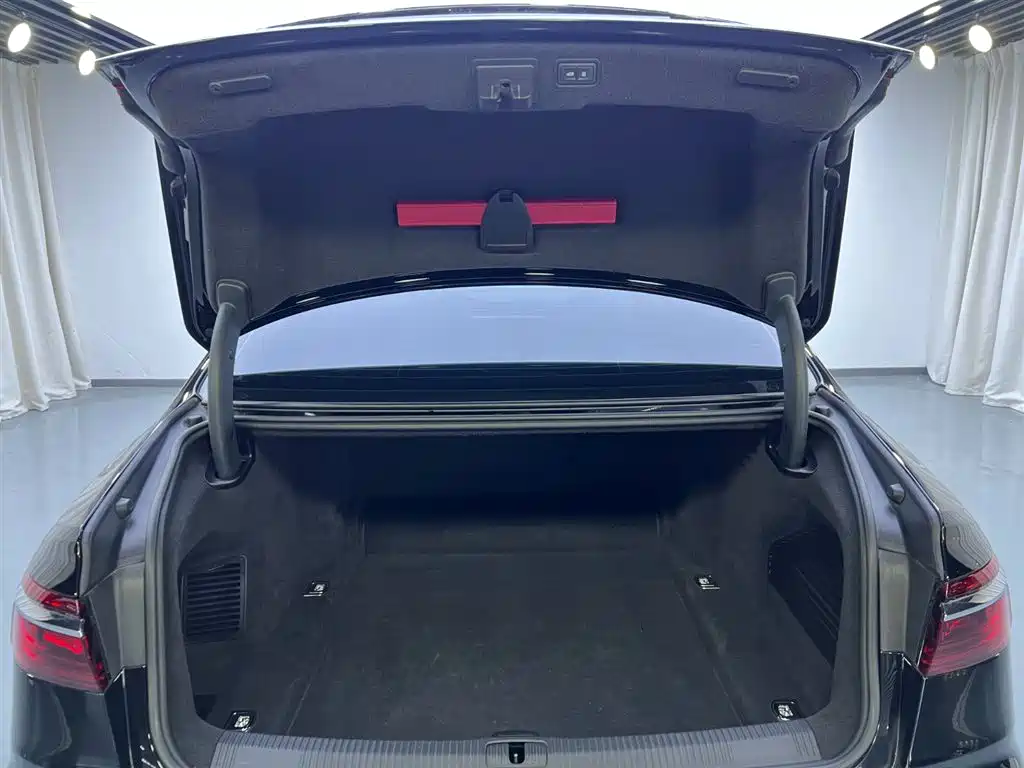Audi A8 2021 A8L 55 TFSI quattro Luxury фото 29