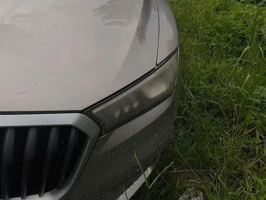 Borgward BX5 2019 2017 Model 20TGDI Automatic 2WD Vanguard Type