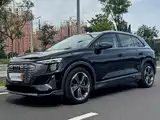 Photo 1 - Audi Q5 e-tron