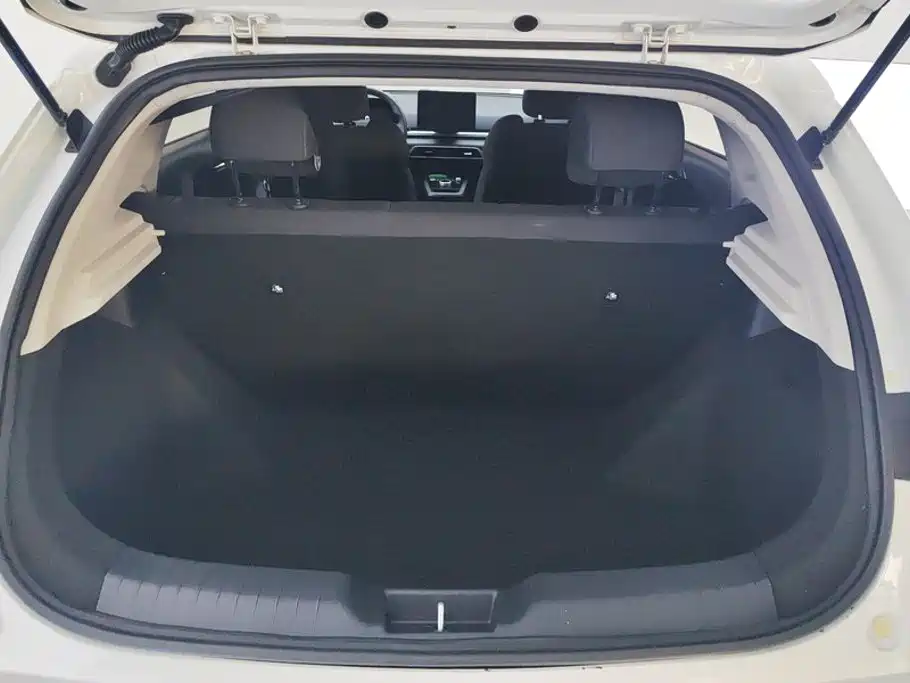 BYD e2 2020 2020 Upgrade Standard Range Standard Model