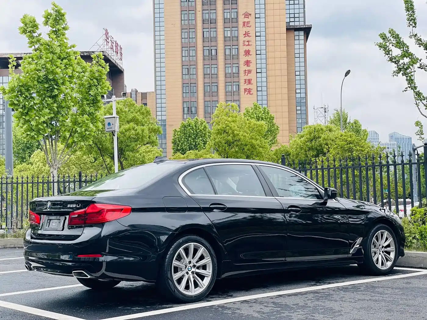 BMW 5 Series 2018 528Li Launch Special Edition фото 7