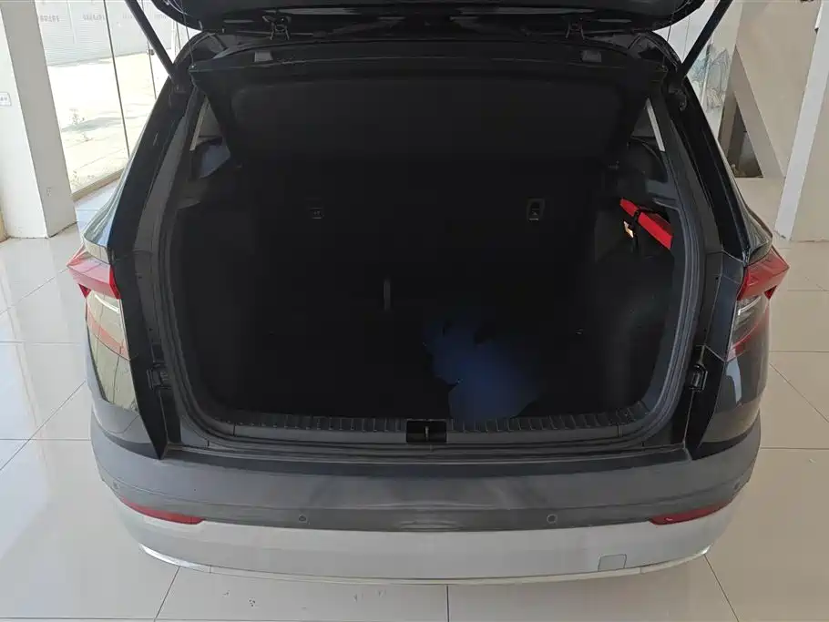 Škoda Karoq 2018 TSI280 Luxury Edition China V фото 4