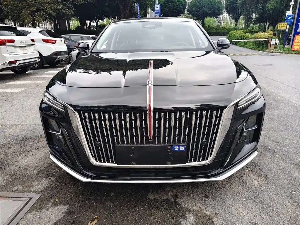 Hongqi H5 2023 2.0T Auto Smart Connect Flag Enjoy фото 2