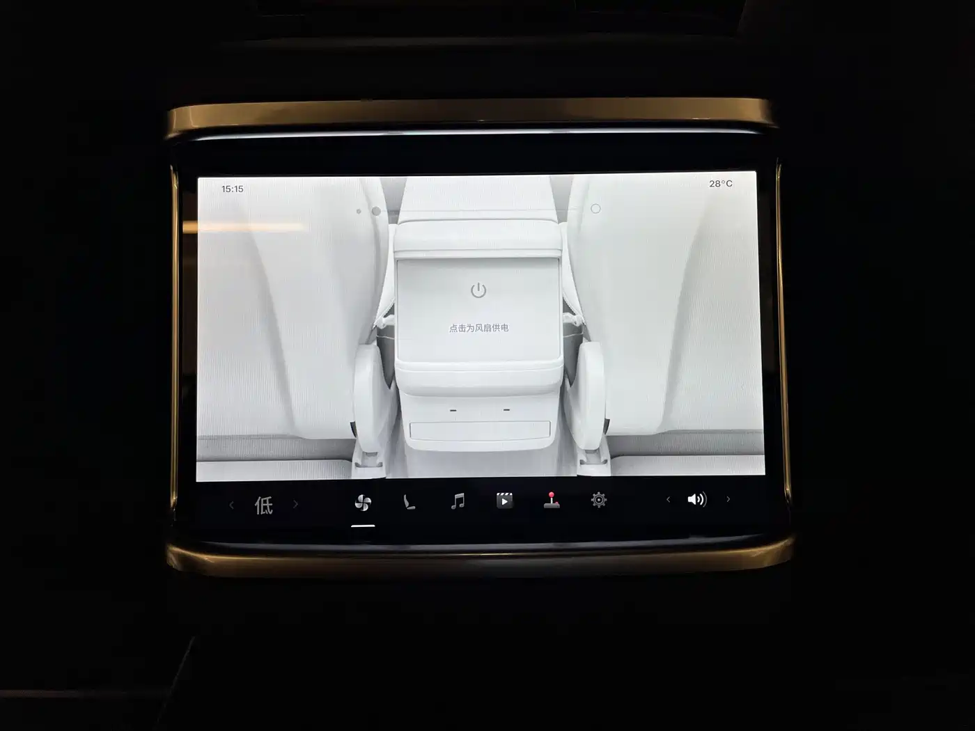 Фото 24 - Tesla Model X