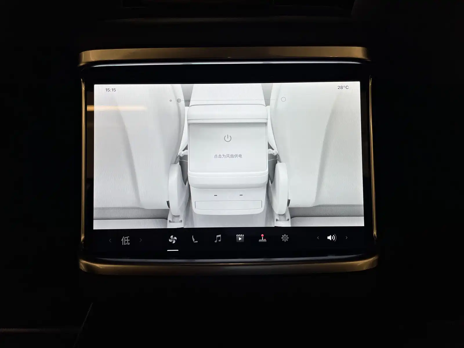 Фото 24 - Tesla Model X