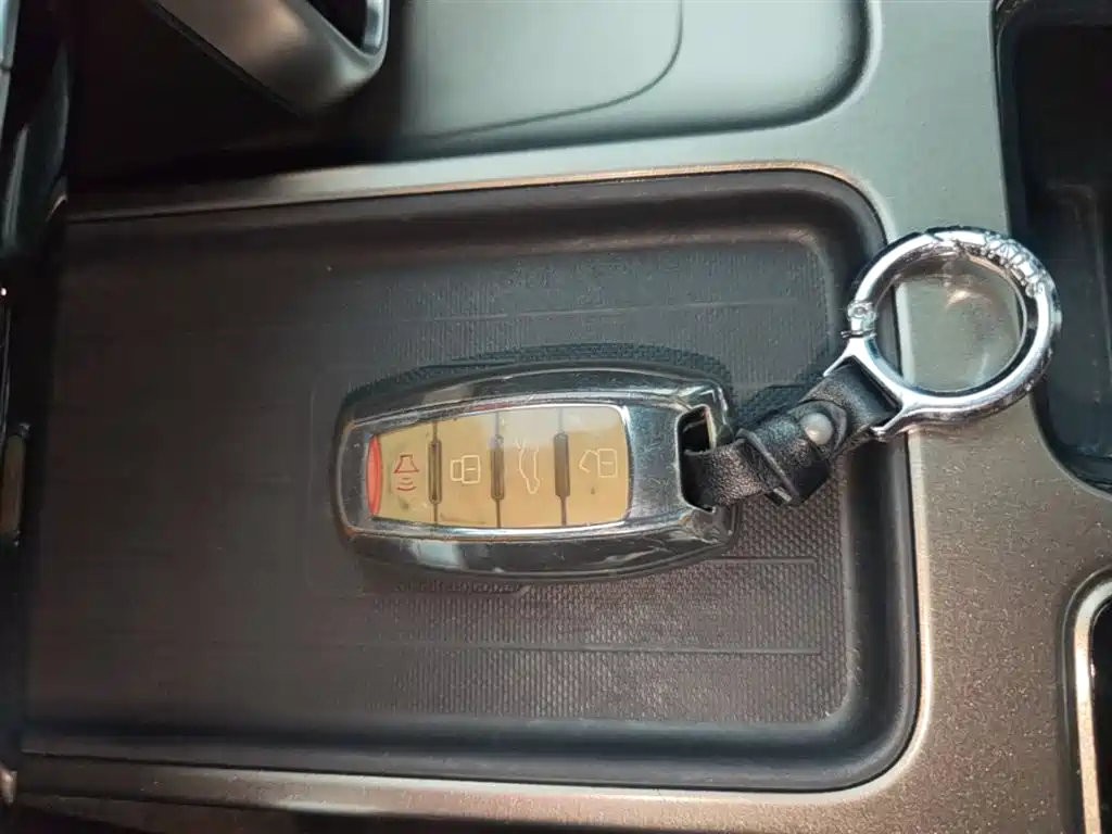 Haval Big Dog 2022 1.5T DCT FWD Labrador Edition фото 9