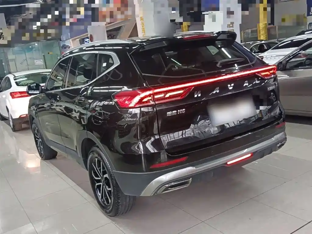 Haval H6 2023 National Trend Edition 1.5T Automatic Urban фото 5