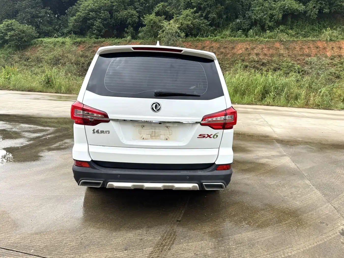 Dongfeng Fengxing Fengxing SX6 2020 2020 1.6L Manual Premium China VI