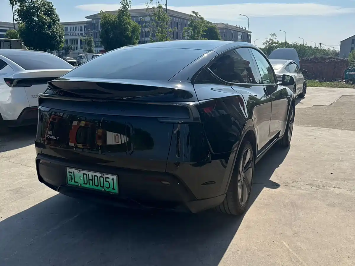 Tesla Model Y 2026 Rear-Wheel Drive фото 5