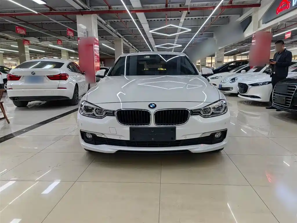 BMW 3 Series 2016 316Li Fashion фото 25