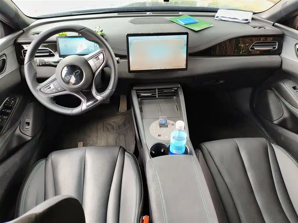 BYD Seal 06 New Energy 2024 DM-i 120KM Premium фото 13
