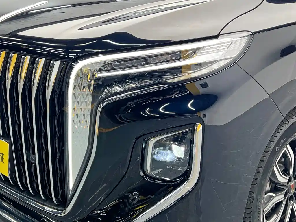 Фото 9 - Hongqi HQ9