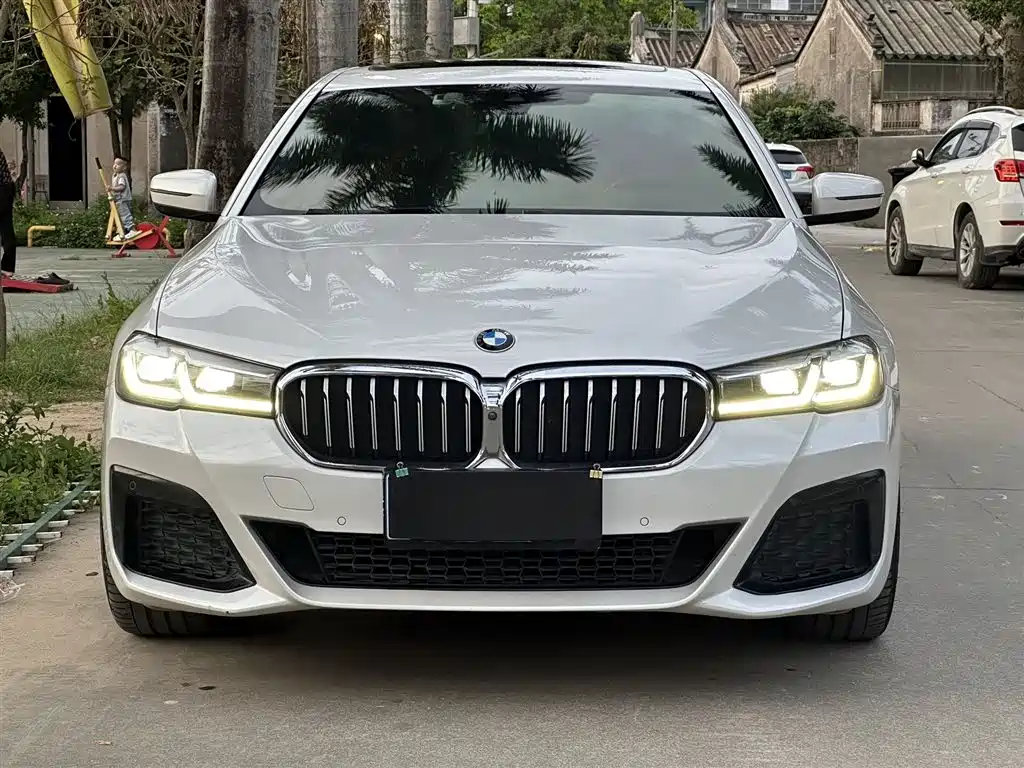 BMW 5 Series 2021 530Li Premium M Sport Package фото 2