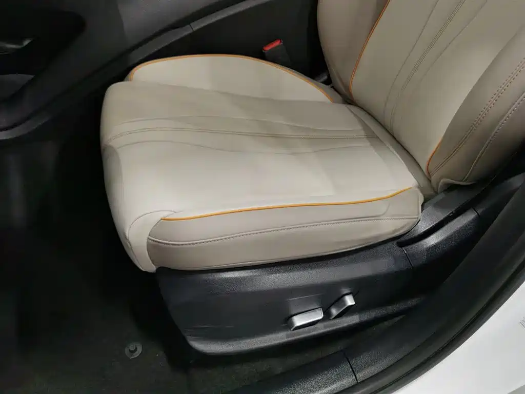 BYD SONGJIANG NEW ENERGY