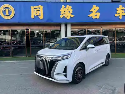 Denza D9