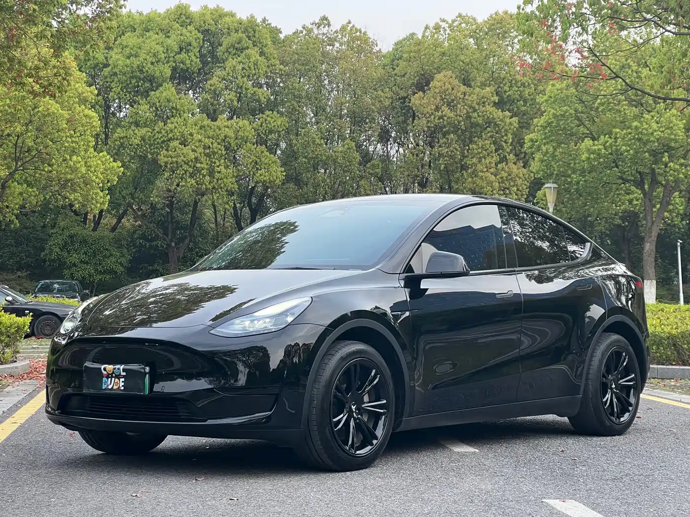 TESLA MODEL Y