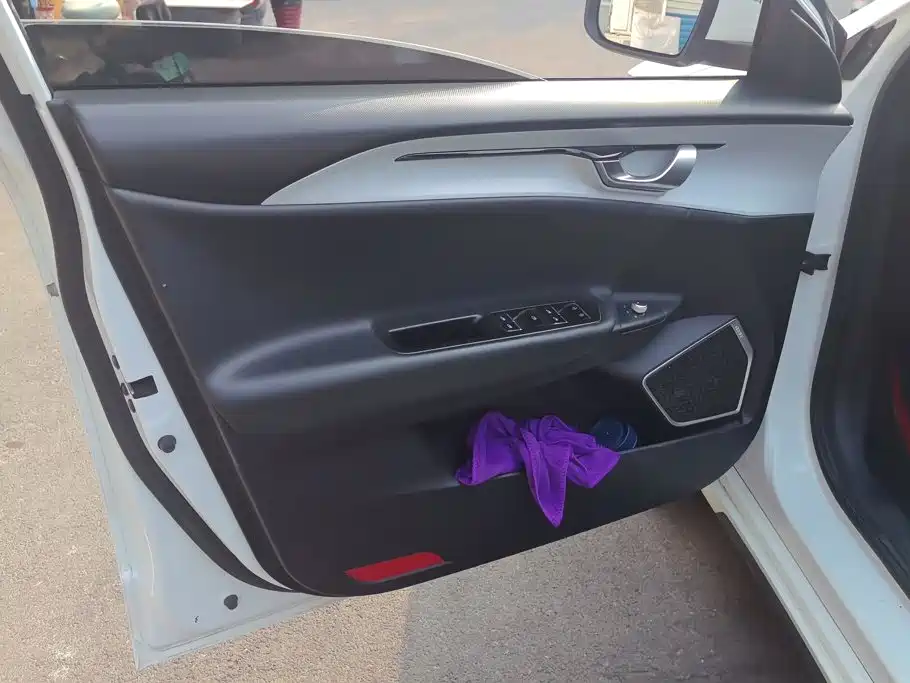 Geely Geometry A 2022 2021 Pro Long-Range Edition 430KM A430 Square