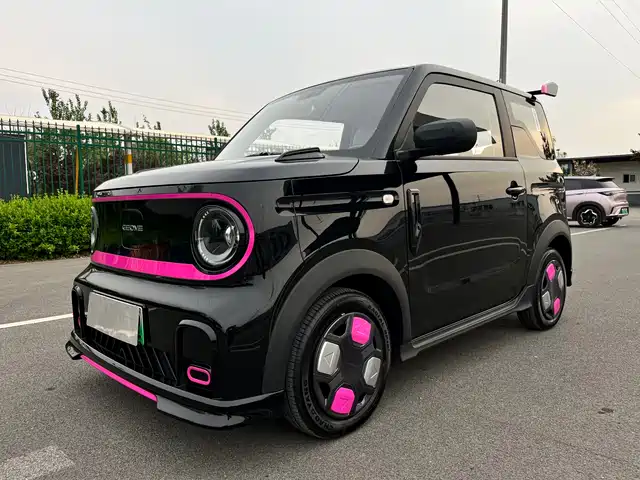 GEELY GALAXY PANDA