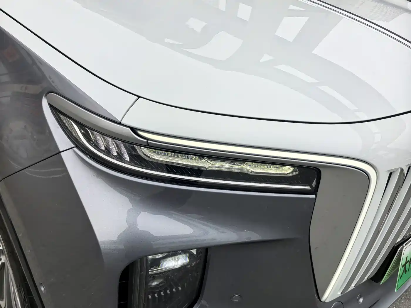 Hongqi E-HS9 2022 660km Qi Ling Edition (4-seater) фото 6