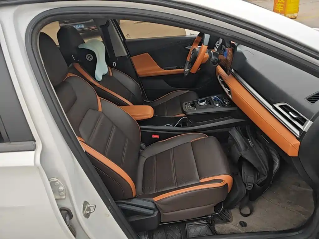 BYD e2 2021 2021 Luxury Edition