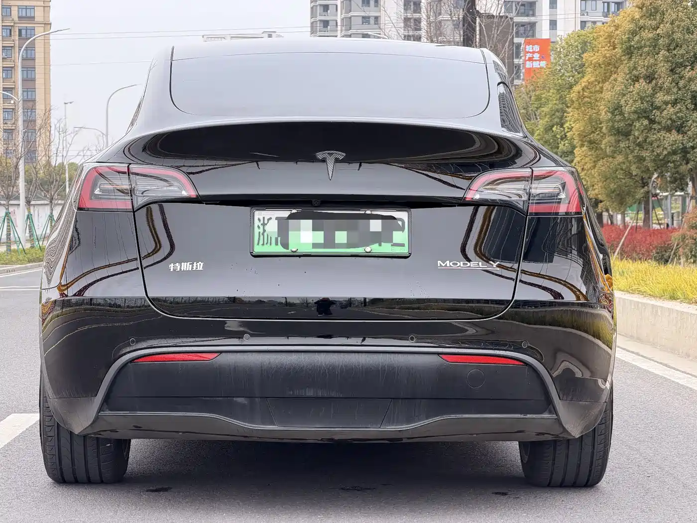 TESLA MODEL Y