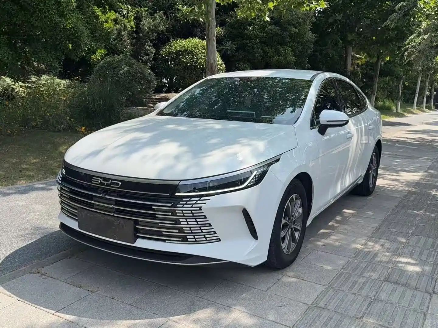 Photo 1 - BYD Destroyer 05