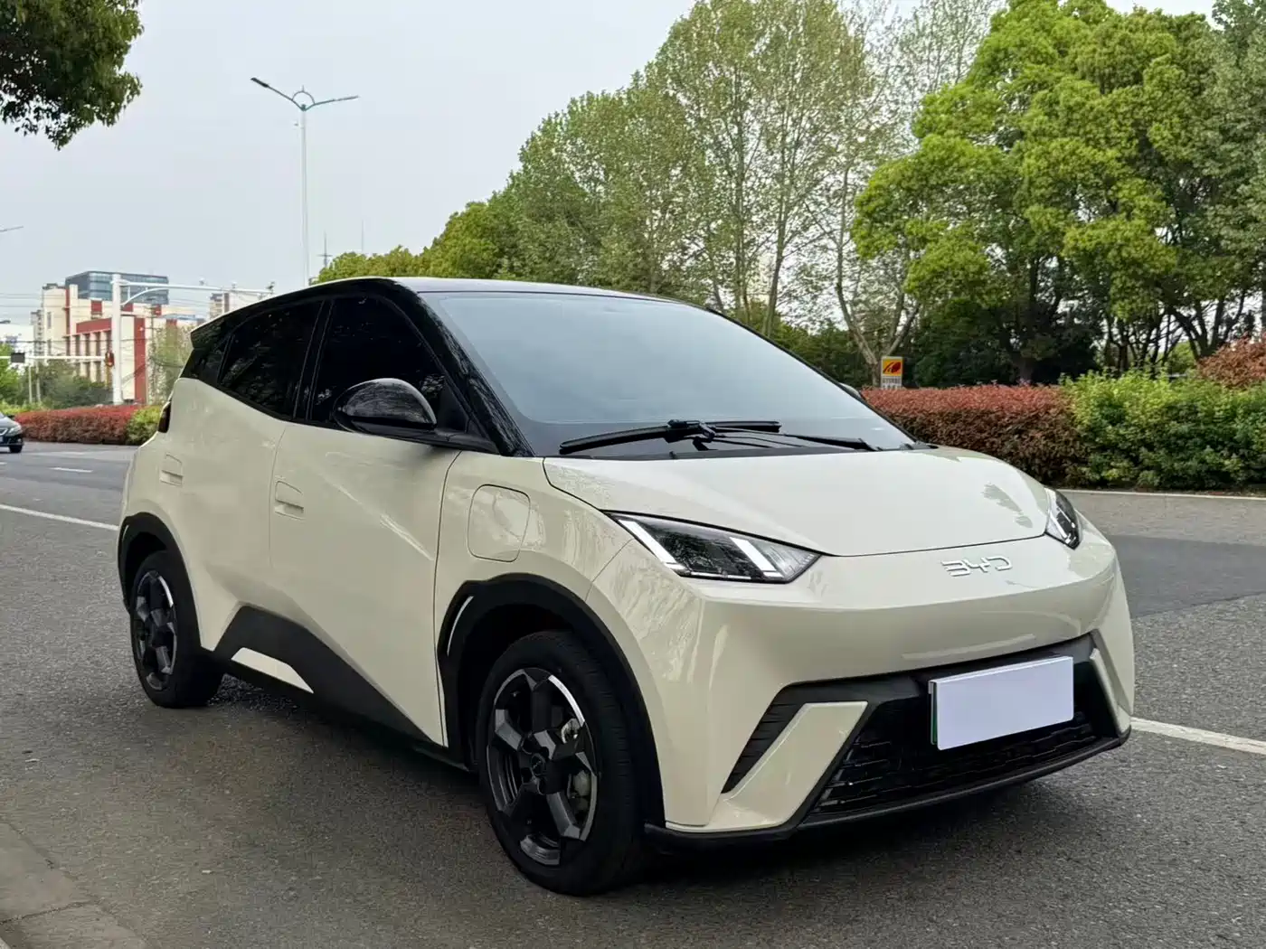 BYD Seagull 2024 Glory Edition 305km Freedom Edition фото 3