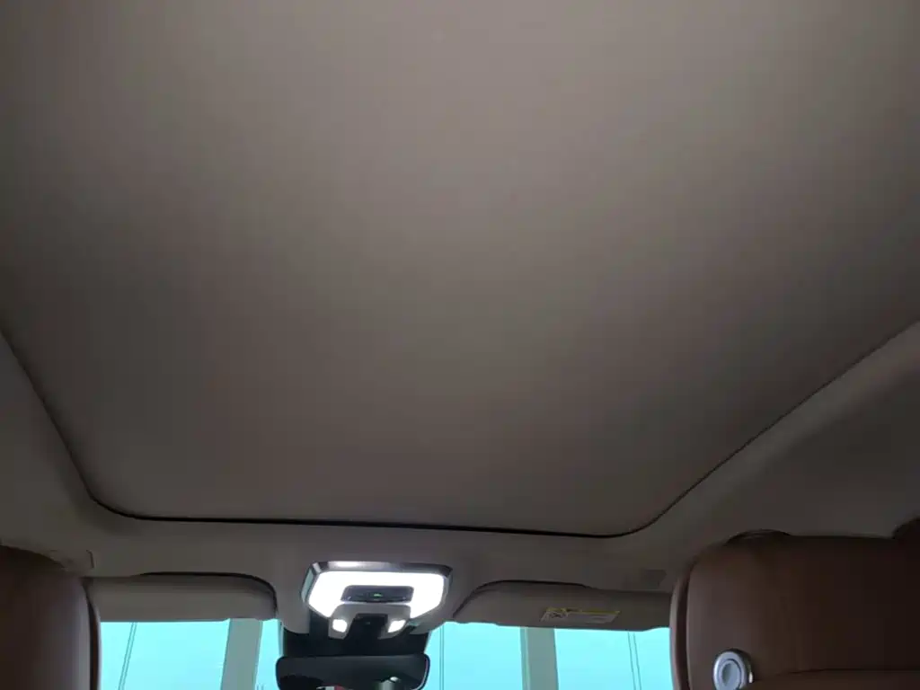 Hongqi H9 2020 2020 2.0T Smart Connection Qi Xiang Edition