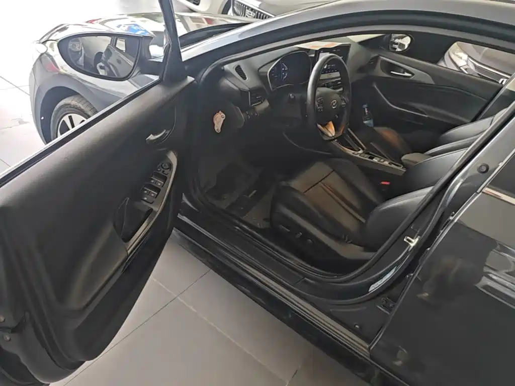 Photo 16 - Hyundai Lafesta