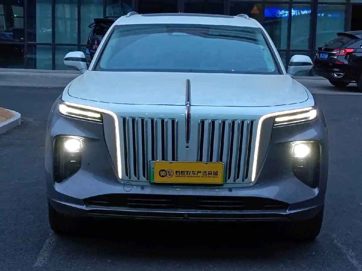 Hongqi E-HS9 2022 660km Qi Ling Edition (4-seater) фото 2