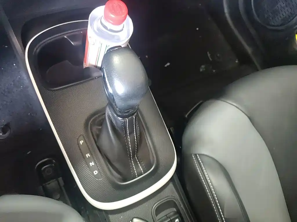 Roewe Clever 2023 2022 311km Vitality Bobo Edition