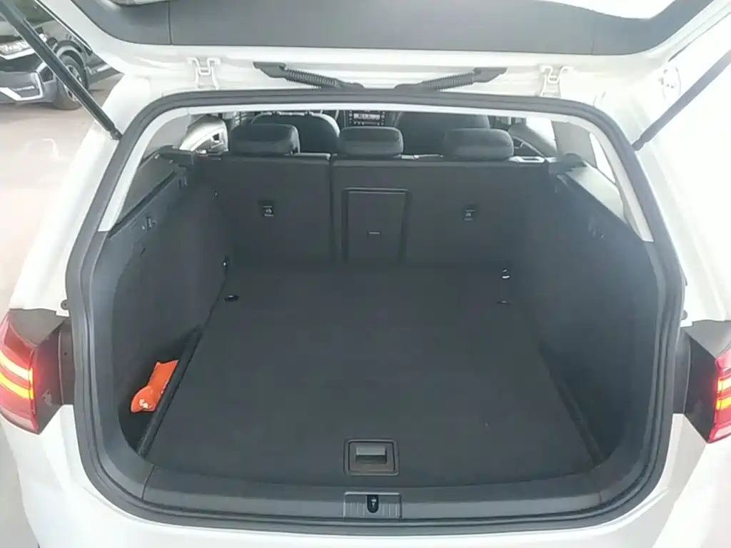 Volkswagen Golf (Import) 2019 2019 1.8TSI Wagon