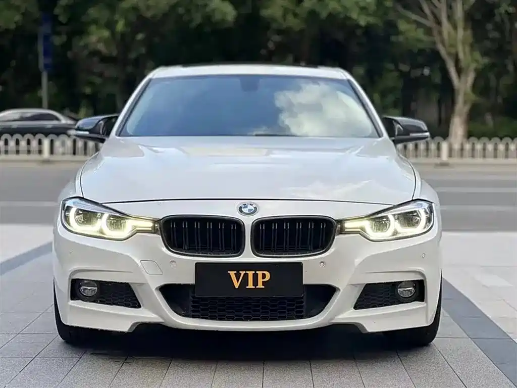 BMW 3 Series 2019 320Li Fashion Type фото 2