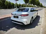 Фото 6 - Toyota Levin