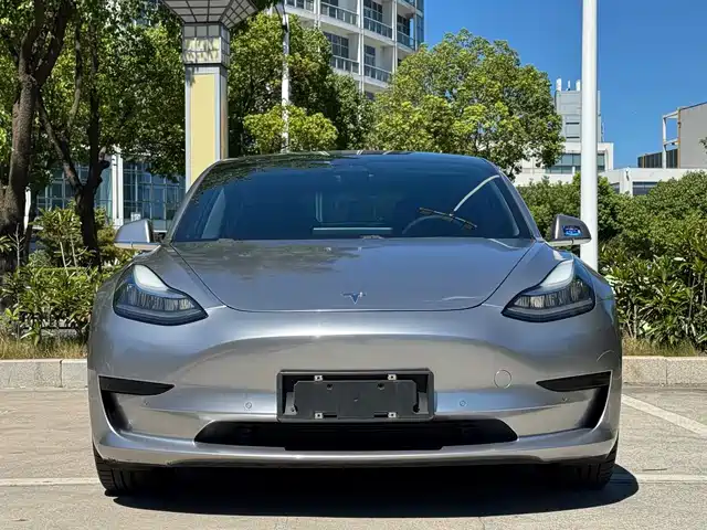 Tesla Model 3 2020