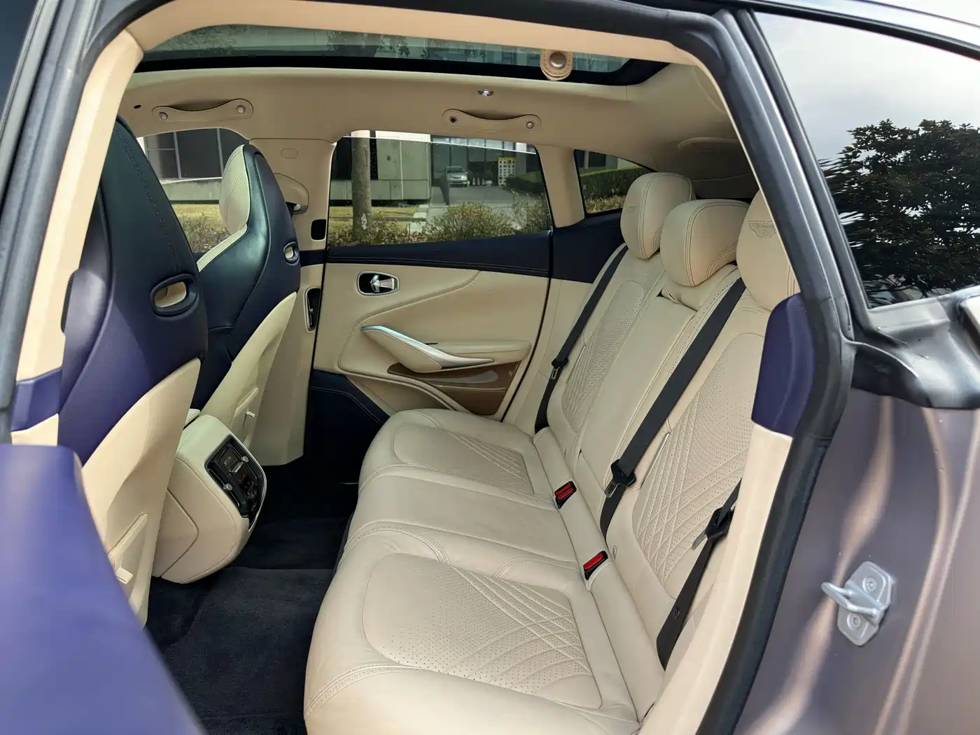 Aston Martin DBX 2021 2021 4.0T V8 Enigma of Elegance