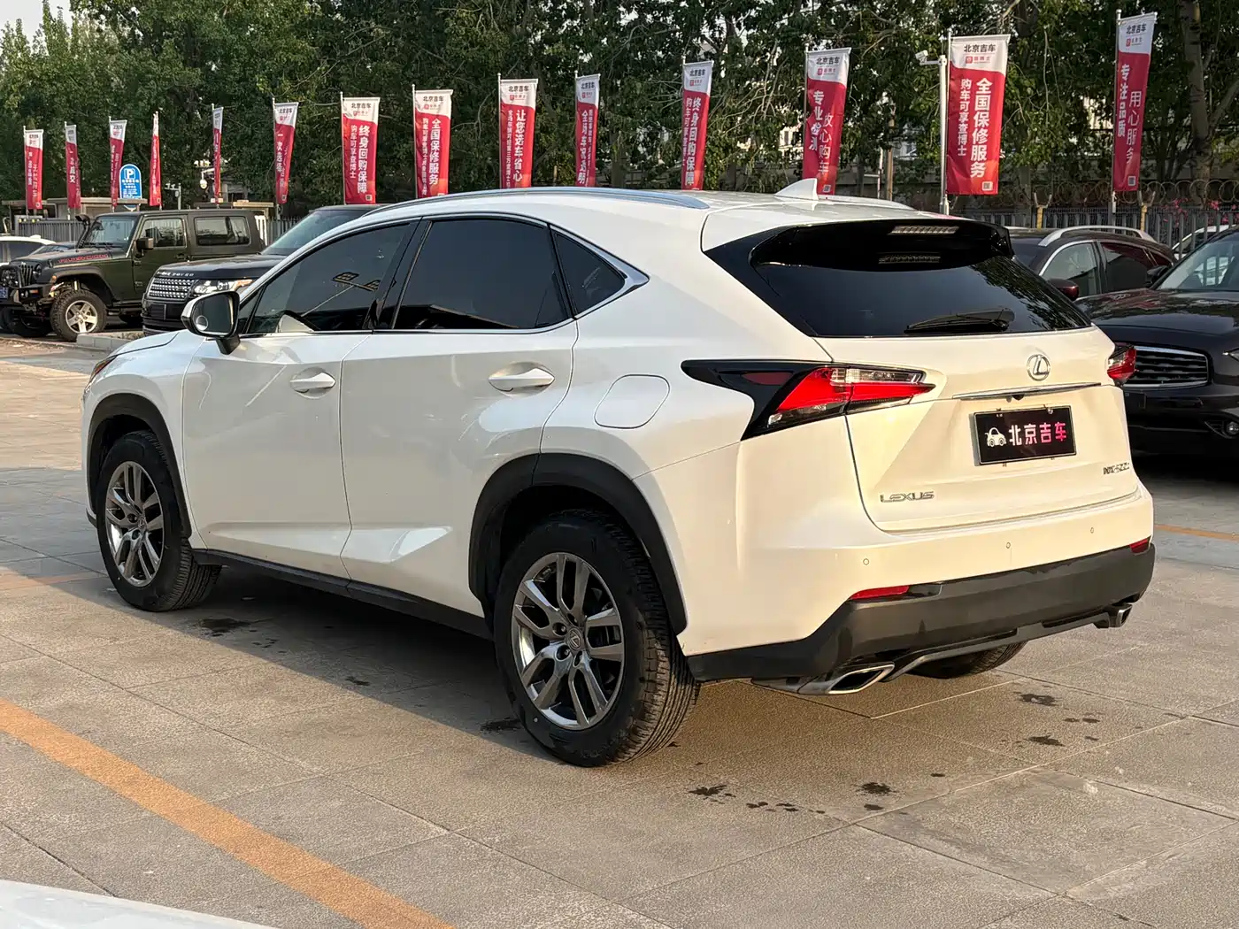 LEXUS NX
